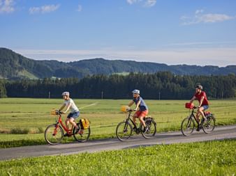 Three cyclists with helmets and panniers riding on paved path through green meadow with forested mountains in background under blue sky.