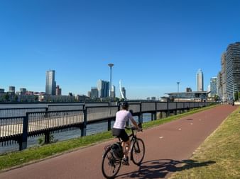 Cycle path in Rotterdam