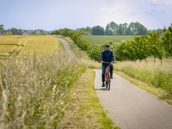 Cyclist in dark clothing riding a red bike on paved path between golden grain fields and green vegetation under blue sky.