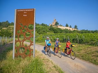 Cyclists at the "most beautiful wine view" at the Wachtenburg