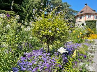 Flowerbed on Mainau Island with a tower in the background