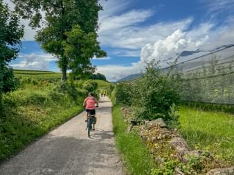 Cyclist on cycle path in Eppan