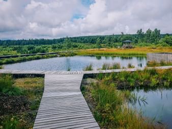 Holzsteg schlängelt sich durch Hochmoorteich im Erzgebirge mit Gräsern, Waldkulisse und Aussichtsturm unter bewölktem Himmel.