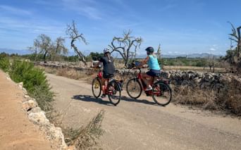 Two female cyclists with helmets pause on a country road in Mallorca, bordered by stone walls and bare trees under blue sky.
