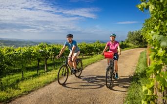 Two cyclists riding on a gravel path between green vineyards with Lake Garda and mountains visible in the background under blue sky.