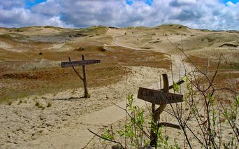 Path through the dune on Curonian Spit