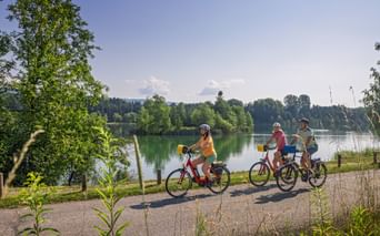 Drei Radfahrer fahren auf einem asphaltierten Weg am Rhein-Radweg entlang eines ruhigen Sees, umgeben von grünen Bäumen unter blauem Himmel.