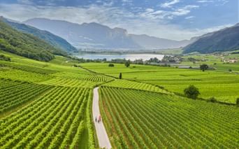 Panoramic view of Lake Kaltern