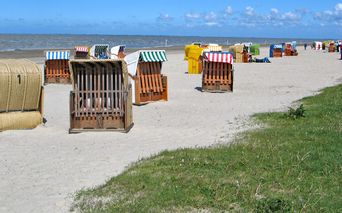 Strandkörbe am Meer in Ostfriesland