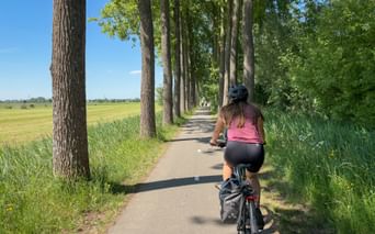 Radfahrerin auf einem asphaltierten Weg gesäumt von hohen Bäumen. Grüne Felder links, Gras rechts unter sonnigem blauen Himmel.