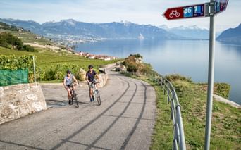 Zwei Radfahrer auf einer asphaltierten Straße durch Weinberge am Genfersee bei Rivaz. Radwegeschild sichtbar, Berge und See im Hintergrund.