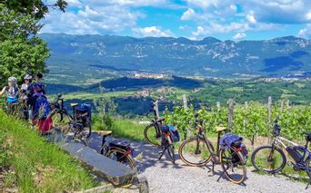 Cycling break in the vineyards of Slovenia