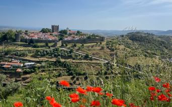 View of Bragança