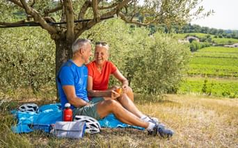 Resting under olive trees
