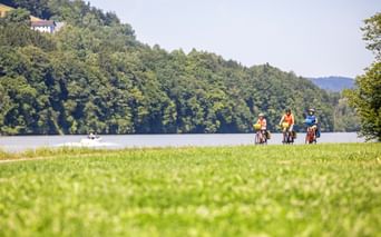 Cyclists on the banks of the Elbe