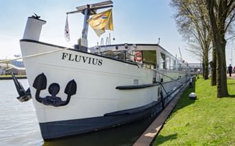 Weißes Flusskreuzfahrtschiff MS Fluvius am grünen Flussufer angelegt mit ausgefahrener Gangway. Das Schiff zeigt eine gelbe Flagge und Ankerdekoration.