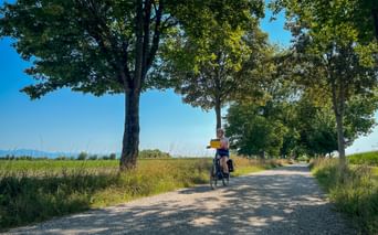 Cyclist on gravel path lined with large trees in Provence-Camargue. Green fields and blue sky visible in the background.