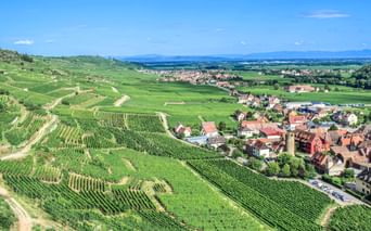 Blick auf Kaysersberg und die Landschaft im Elsaß