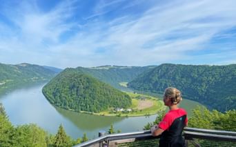 Radfahrerin in rot-schwarzem Trikot betrachtet die Schlögener Schlinge, eine dramatische Flussschleife der Donau umgeben von grünen Hügeln.
