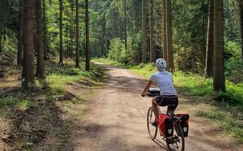 Cyclist with red panniers riding on a dirt path through a dense coniferous forest in Bohemia, Czech Republic.