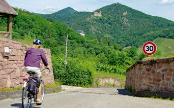 Radfahrerin zwischen den Hügeln in der Nähe von Obernai