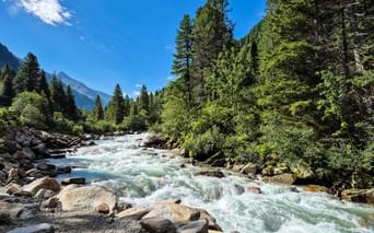 Rushing turquoise waters of Krimmler Ache flowing through rocky riverbed, surrounded by dense conifer forests and mountains under blue sky.