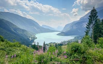 Türkisfarbener Molvenosee zwischen bewaldeten Bergen mit rosa Wildblumen im Vordergrund und einem kleinen Dorf am Ufer.