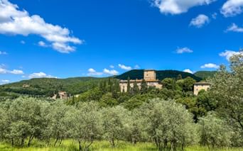 Greve in Chianti