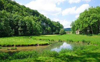 Lauertal grüne Landschaft mit Fluss