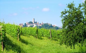 Piemont Sternfahrt Aussicht Barolo