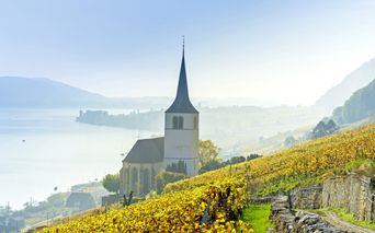 Blick von den Weinbergen auf den Bieler See