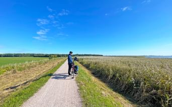 Radfahrer am Radweg