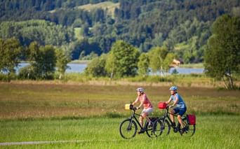 Zwei Radfahrerinnen mit Helmen und Packtaschen fahren auf einem Weg durch grüne Wiesen im Main-Spessart-Taubertal, mit Fluss und bewaldeten Hügeln.