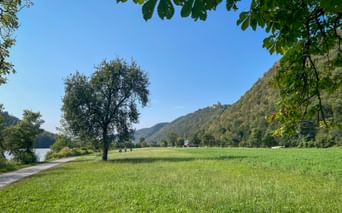Grüne Wiese entlang der Donau mit Radweg, eingerahmt von Bäumen. Bewaldete Hügel mit Burg Marsbach auf der Anhöhe unter blauem Himmel.