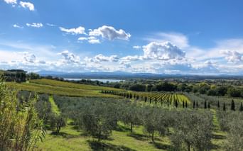 Toskana Trasimeno See