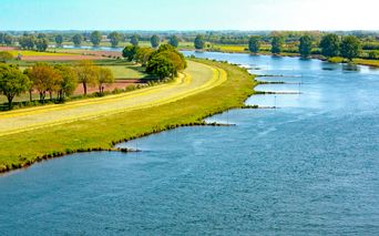Fluss Maas