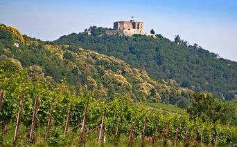 Das auf einem Hügel thronende Schloss Hambach bei der Radtour