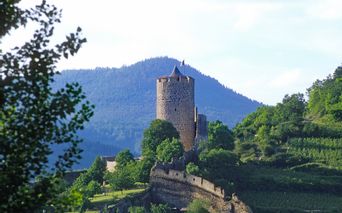 Blick auf das Schloss in Kaysersberg
