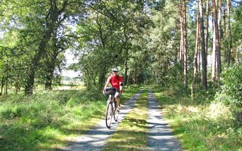 Radfahrer unterwegs in der Lüneburger Heide