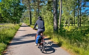 Cyclist in dark clothing riding on paved path through sunny forest with tall trees and green vegetation near Oslofjord, Norway.