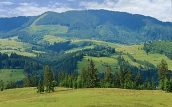 Karparten alp meadows