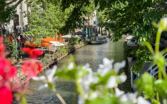 Oudegracht canal in Utrecht framed by red and white flowers, with boats moored along tree-lined banks and historic buildings in the background.