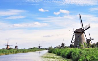 Windmills along the river