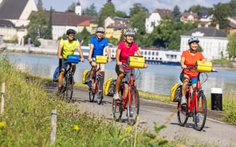 Cycling group on the bike path to Grein