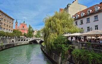 Ljubljanica River with green water flowing through Ljubljana. Pink church and stone bridge visible in background, willow tree and riverside café on right.