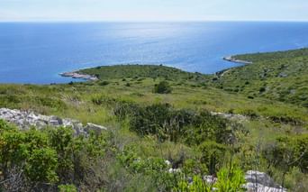 Dugi Otok Bay