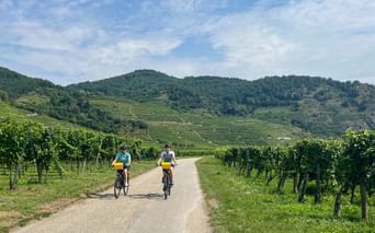 La Vaux Weinhügel