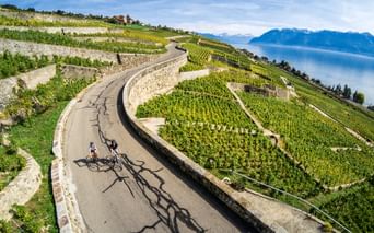 Lavaux