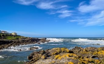 Rocky coastal landscape in A Guarda with yellow lichen-covered rocks, blue ocean waves, and houses on hillside under clear blue sky.