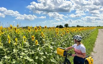 Female cyclist with helmet and yellow panniers standing beside her bike on a path next to a vast sunflower field under a blue sky with clouds.